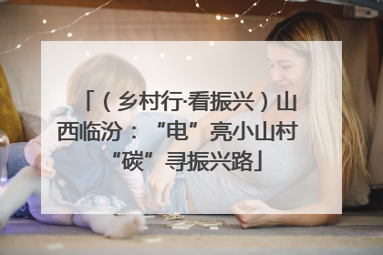 （乡村行·看振兴）山西临汾：“电”亮小山村 “碳”寻振兴路