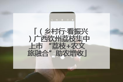 （乡村行·看振兴）广西钦州荔枝集中上市 “荔枝+农文旅融合”助农增收