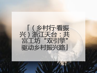 （乡村行·看振兴）浙江天台：共富工坊“双引擎”驱动乡村振兴路
