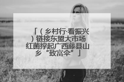 （乡村行·看振兴）链接东盟大市场 红菌撑起广西藤县山乡“致富伞”
