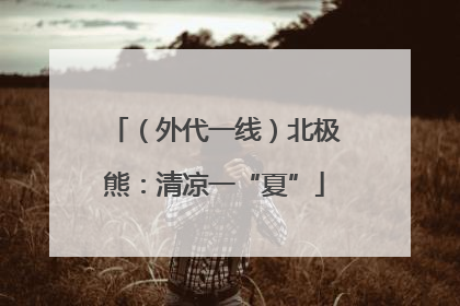 （外代一线）北极熊：清凉一“夏”