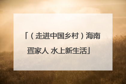 （走进中国乡村）海南疍家人 水上新生活