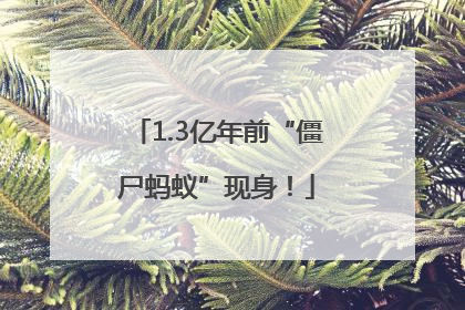 1.3亿年前“僵尸蚂蚁”现身！