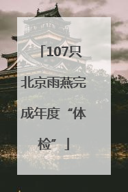 107只北京雨燕完成年度“体检”