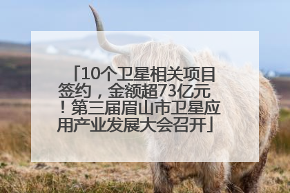 10个卫星相关项目签约，金额超73亿元！第三届眉山市卫星应用产业发展大会召开