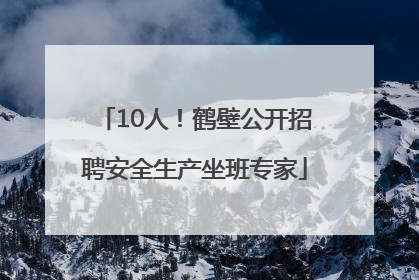 10人！鹤壁公开招聘安全生产坐班专家