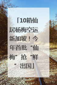 10箱仙居杨梅空运新加坡！今年首批“仙梅”抢“鲜”出国