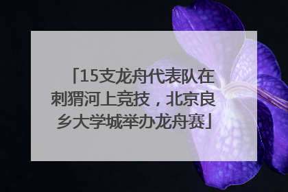 15支龙舟代表队在刺猬河上竞技，北京良乡大学城举办龙舟赛