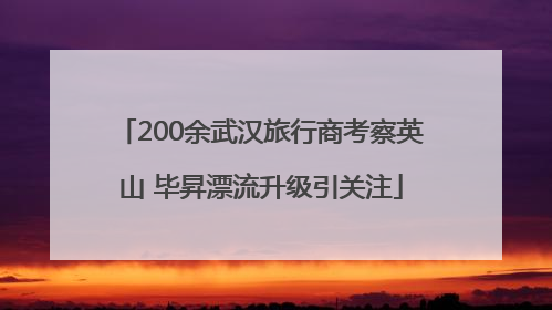 200余武汉旅行商考察英山 毕昇漂流升级引关注