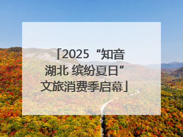 2025“知音湖北 缤纷夏日”文旅消费季启幕