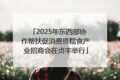 2025年东西部协作帮扶促消费暨糯食产业招商会在贞丰举行