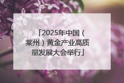 2025年中国（莱州）黄金产业高质量发展大会举行