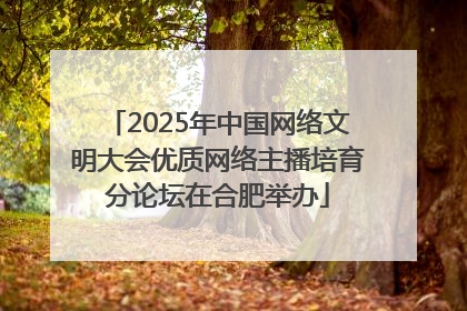 2025年中国网络文明大会优质网络主播培育分论坛在合肥举办