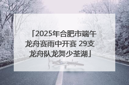 2025年合肥市端午龙舟赛雨中开赛 29支龙舟队龙舞少荃湖