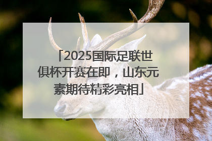 2025国际足联世俱杯开赛在即，山东元素期待精彩亮相