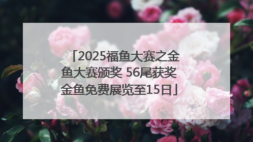 2025福鱼大赛之金鱼大赛颁奖 56尾获奖金鱼免费展览至15日