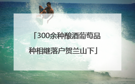 300余种酿酒葡萄品种相继落户贺兰山下