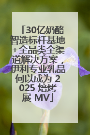 30亿奶酪智造标杆基地+全品类全渠道解决方案，伊利专业乳品何以成为 2025 焙烤展 MV