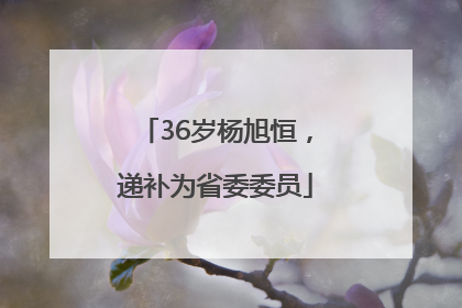 36岁杨旭恒，递补为省委委员
