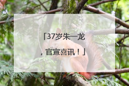 37岁朱一龙，官宣喜讯！