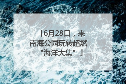 6月28日，来南海公园玩转超燃 “海洋大集”