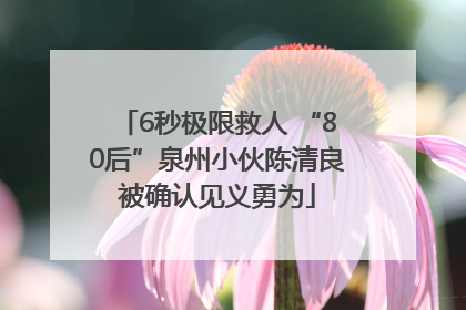 6秒极限救人 “80后”泉州小伙陈清良被确认见义勇为