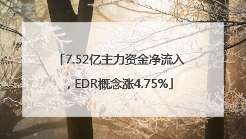 7.52亿主力资金净流入，EDR概念涨4.75%