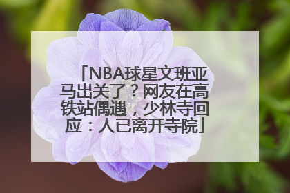 NBA球星文班亚马出关了？网友在高铁站偶遇，少林寺回应：人已离开寺院